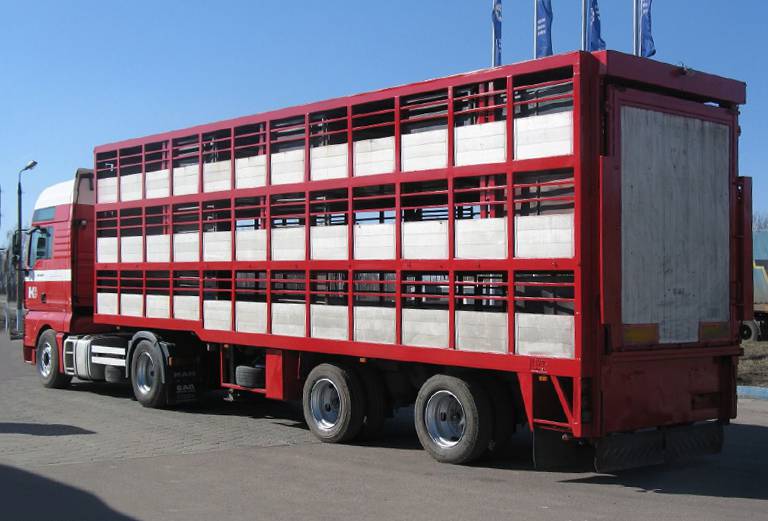 Сколько стоит перевозка 10 свинея недорого из Москва в Бронницы